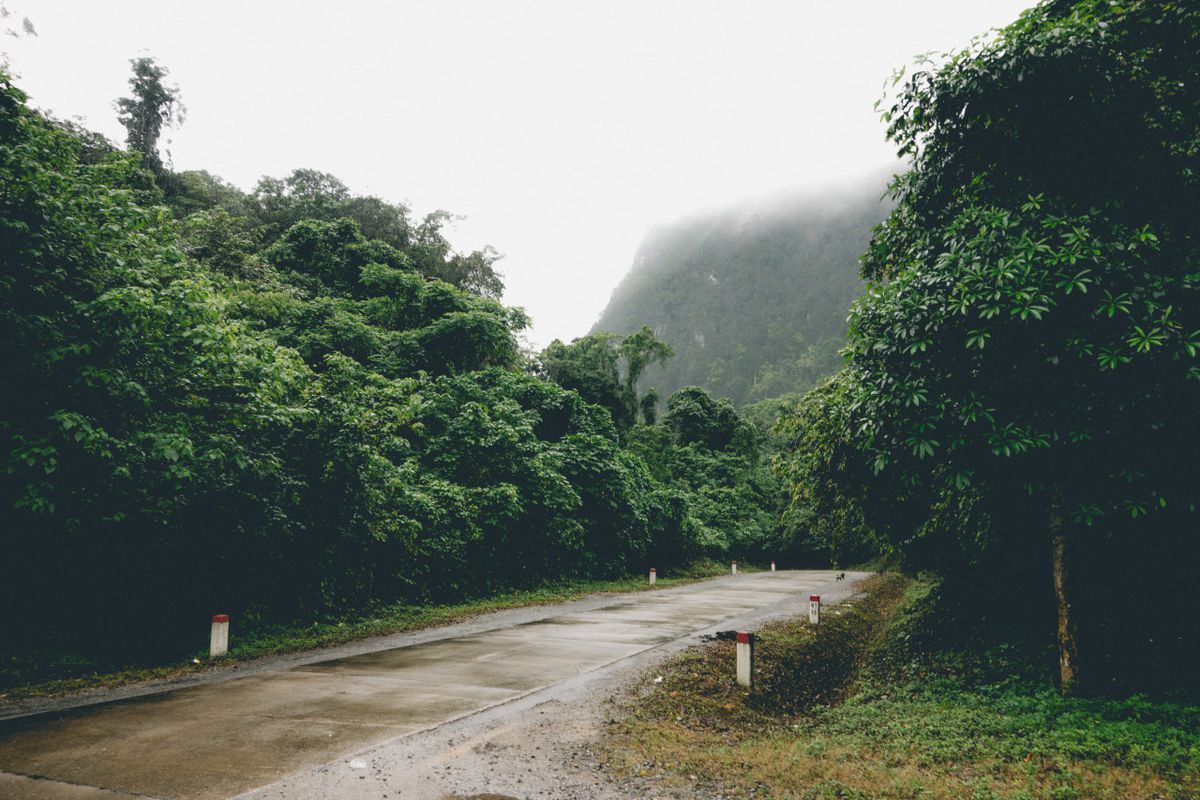 Đường vào động thiên đường Phong Nha