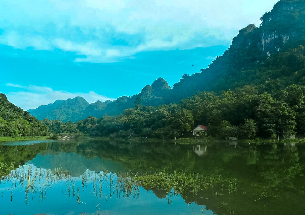 Wildlife in Cuc Phuong National Park in Ninh Binh