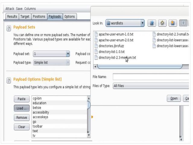 cac tinh nang hap dan cua phan mem burp suite