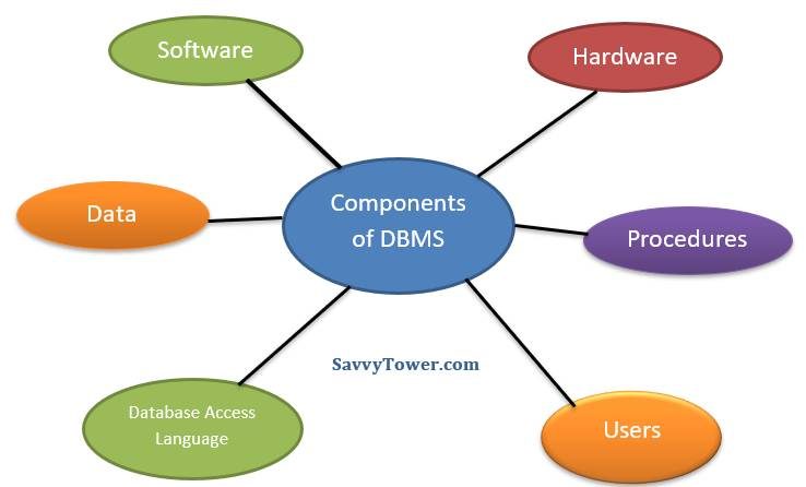 Cac thanh phan cua DBMS