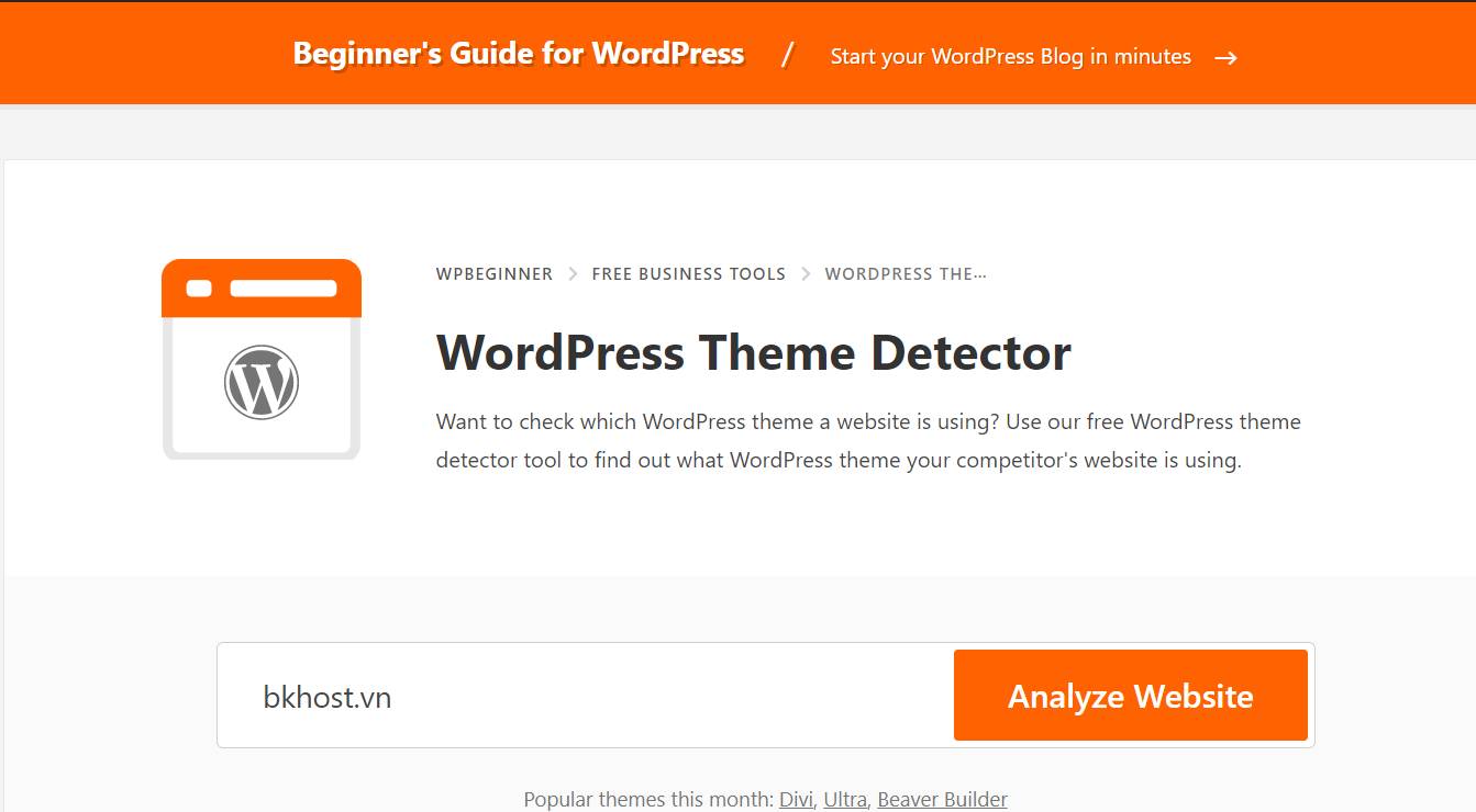 Tim Theme WordPress 1