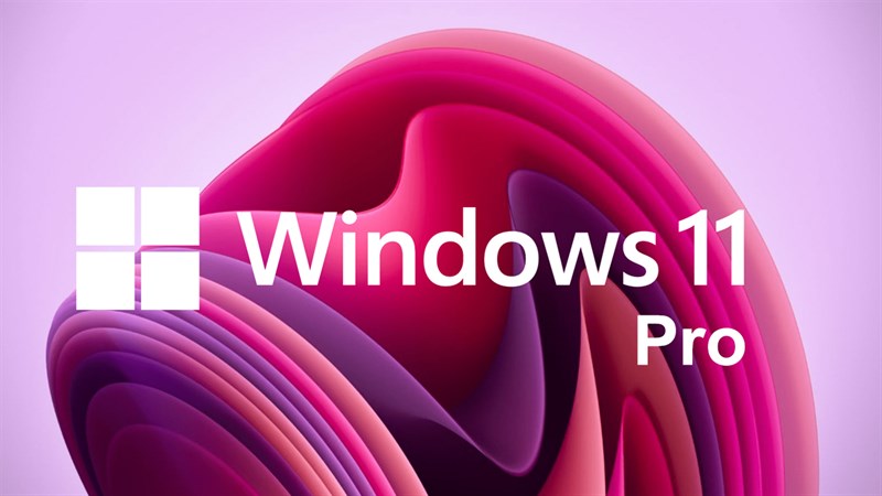 Hướng dẫn cách nâng cấp Windows 11 Home lên Windows 11 Pro cực kỳ đơn giản, không sợ mất dữ liệu