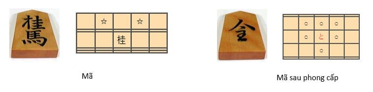 Cách đi, bắt quân của các quân cờ Shogi 5