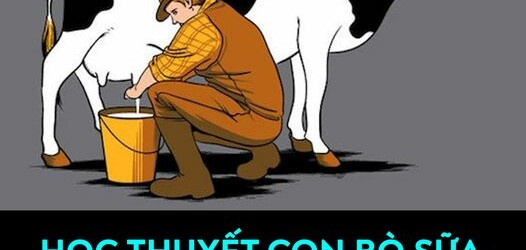 HỌC THUYẾT CON BÒ SỮA VÀ 8 MÔ HÌNH KINH DOANH KINH ĐIỂN