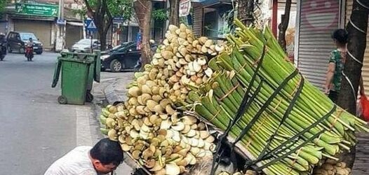 Gánh nặng cuộc đời không ai khổ bằng cha!